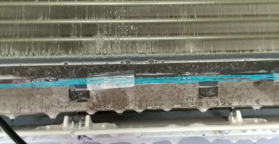 Video’s of What we’ve Found in Heat Pumps Lately!