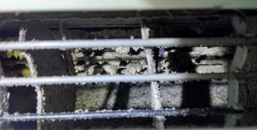 Best Time of Year for A Heat Pump cLean?