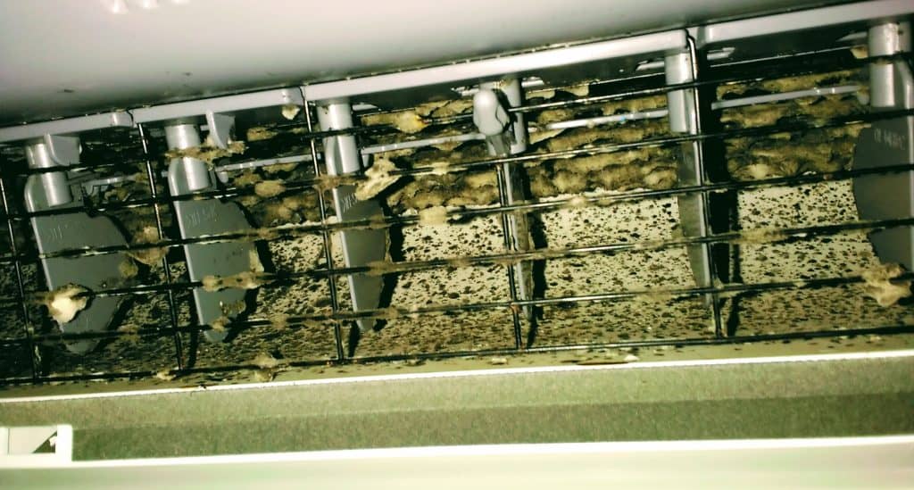 Moldy heat pump coils with dust and debris buildup before deep cleaning service