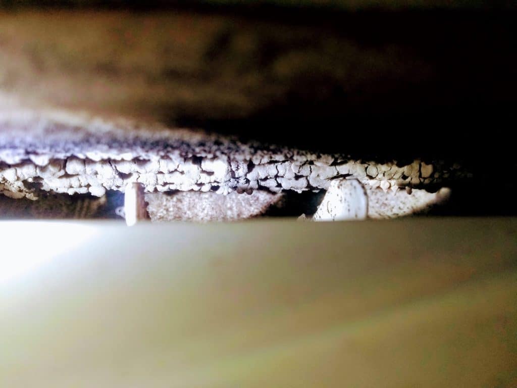 Heat pump mold before cleaning Quad Counties Nova Scotia