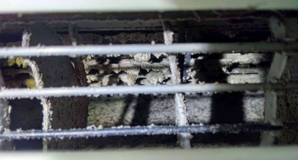 Mould inside heat pump before cleaning Antigonish NS